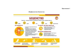 "Санпросвет"Роспотребнадзора информирует