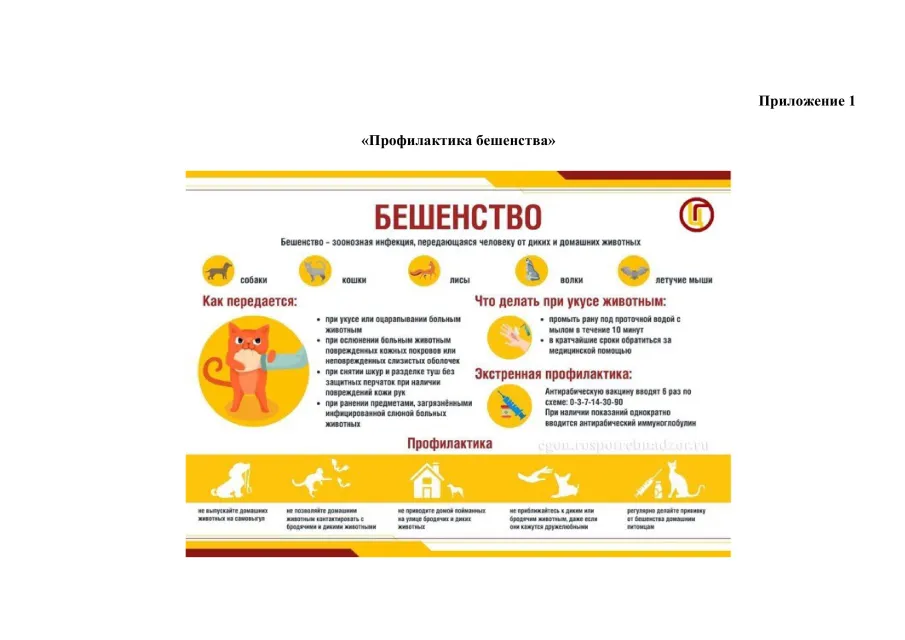 "Санпросвет"Роспотребнадзора информирует