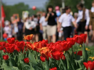 Подготовка к самому знаменательному дню – Дню Победы!