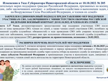 Изменения в Указ Губернатора Нижегородской области от 10.10.2022г. №205