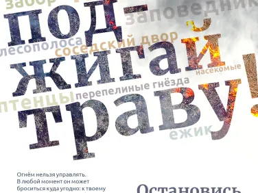 О лесных пожарах