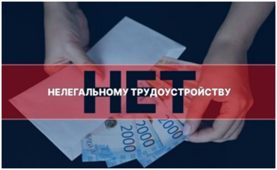 Нелегальная занятость и ее влияние на жизнь конкретного работника и работодателя