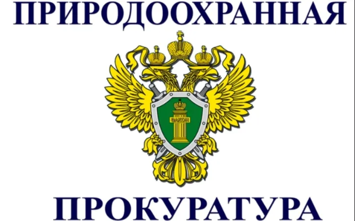 Природоохранная прокуратура информирует.