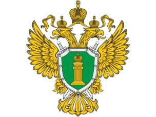 Возможность стать судьей факта есть у каждого