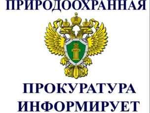 Природоохранная прокуратура разъясняет.