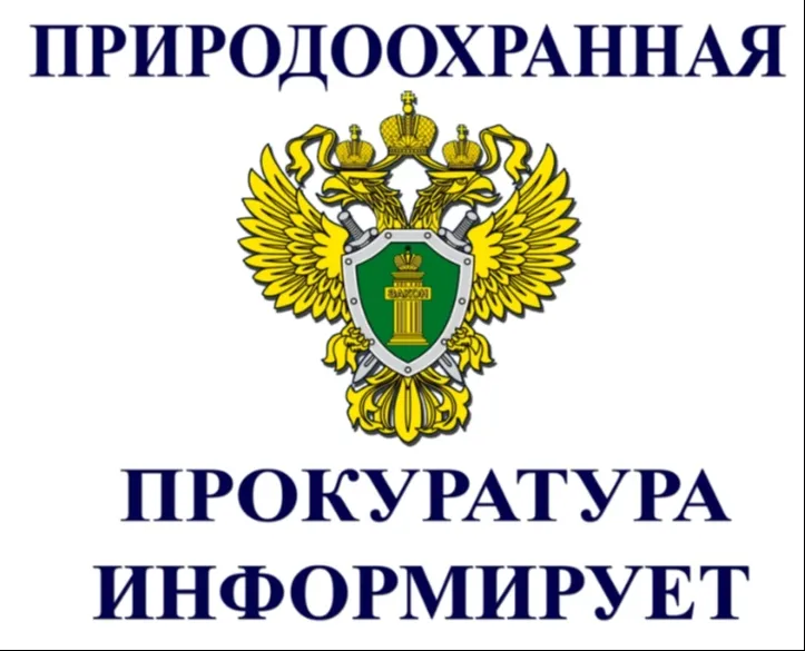 Природоохранная прокуратура разъясняет.