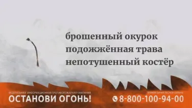 Видеоролик «Останови огонь!»