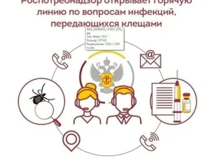 Горячая линия Роспотребнадзора.