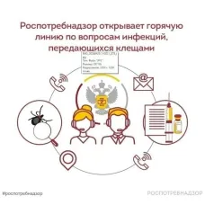 Горячая линия Роспотребнадзора.