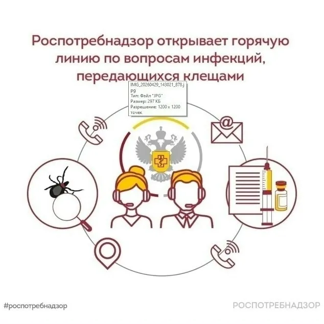 Горячая линия Роспотребнадзора.