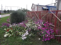 Ежегодный смотр – конкурс по благоустройству