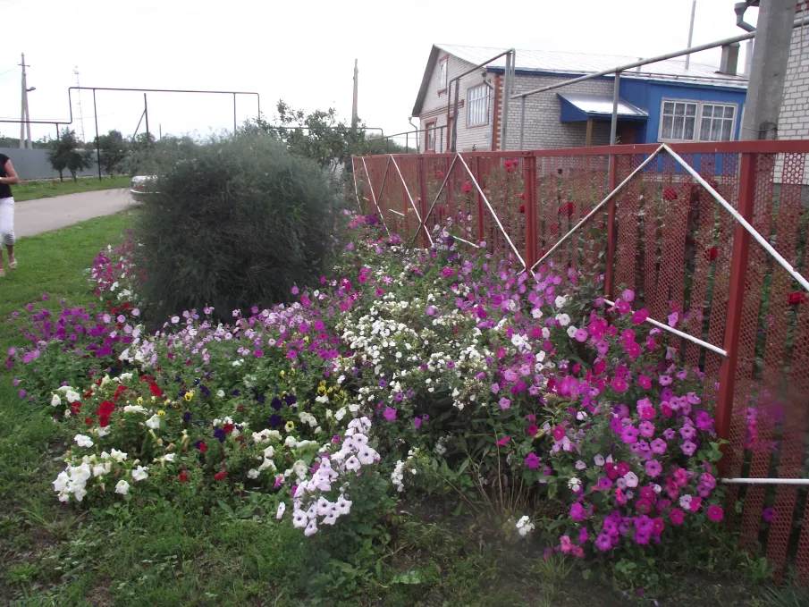 Ежегодный смотр – конкурс по благоустройству