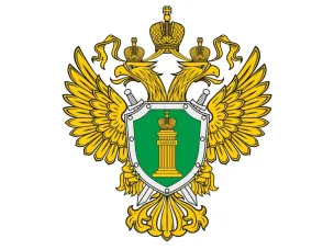 Задолженность по таможенным платежам в размере свыше 15 млн рублей погашена после ареста имущества должника, санкционированного Нижегородским транспортным прокурором