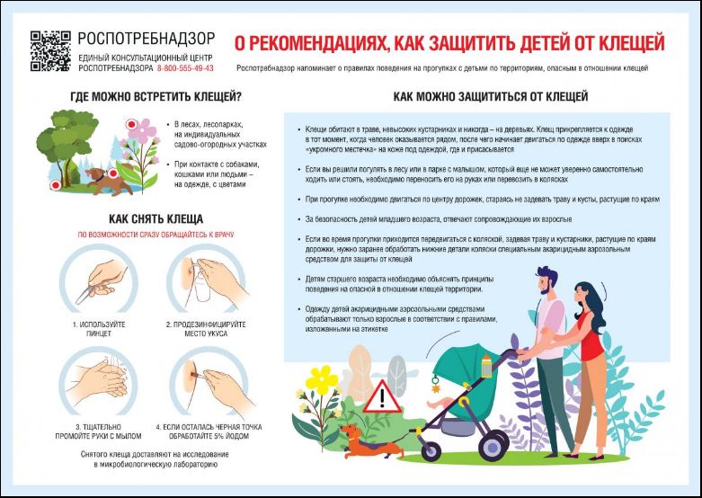 «Профилактика клещевого энцефалита»