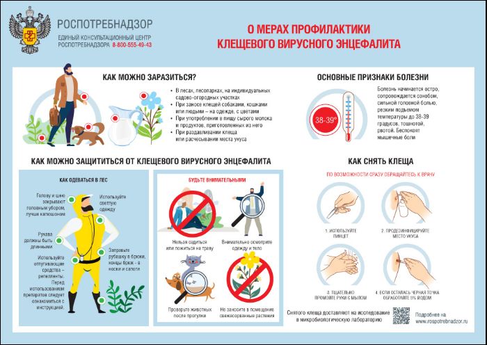 «Профилактика клещевого энцефалита»