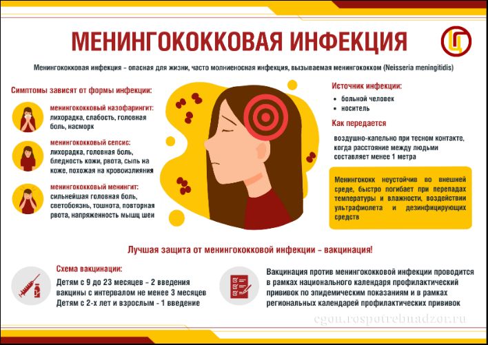 «Профилактика менингококковой инфекции»