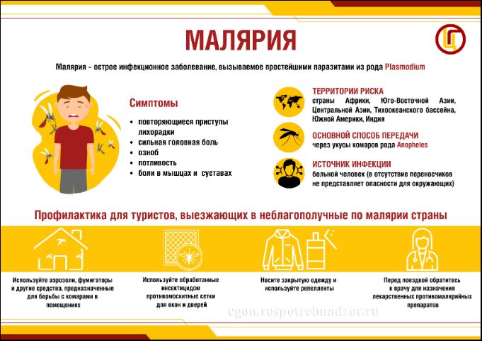 «Профилактика малярии»
